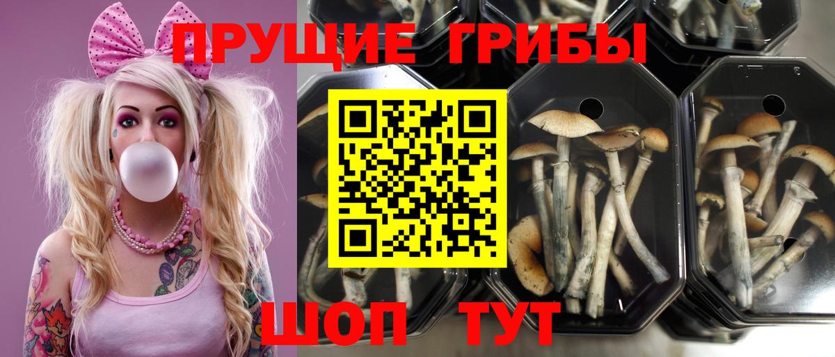 Псилоцибиновые грибы мицелий Лангепас