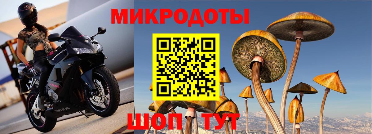 Лангепас  Псилоцибиновые грибы прущие грибы  Вход с VPN 